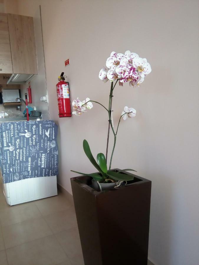 Casa Mao-Cheia Apartment Arco da Calheta  Ngoại thất bức ảnh